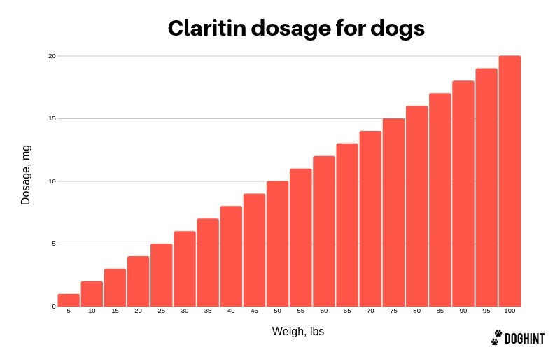 Claritin Dosage for Dogs (Handy Chart & Effects Included)