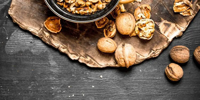 are walnuts toxic to dogs
