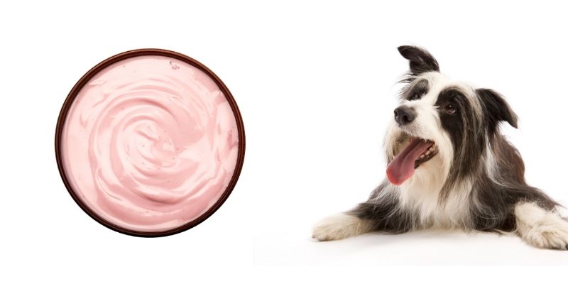 what kind of yogurt is good for dogs