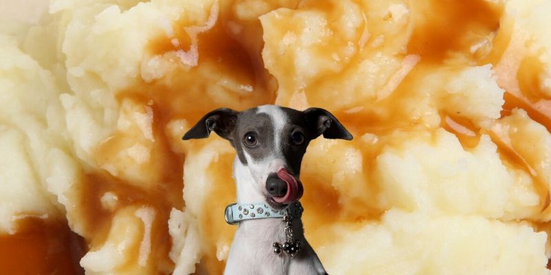 mashed potato dog