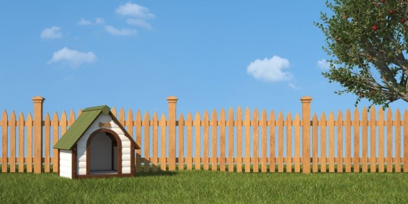 dog house in the yard